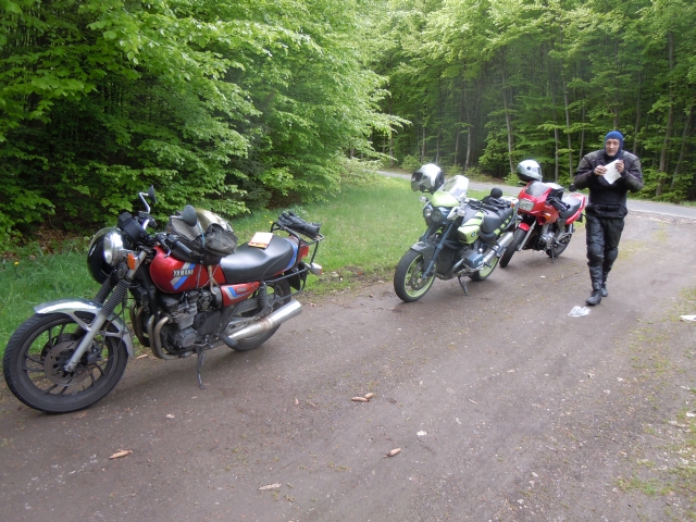 Im Wald vor Manderscheid