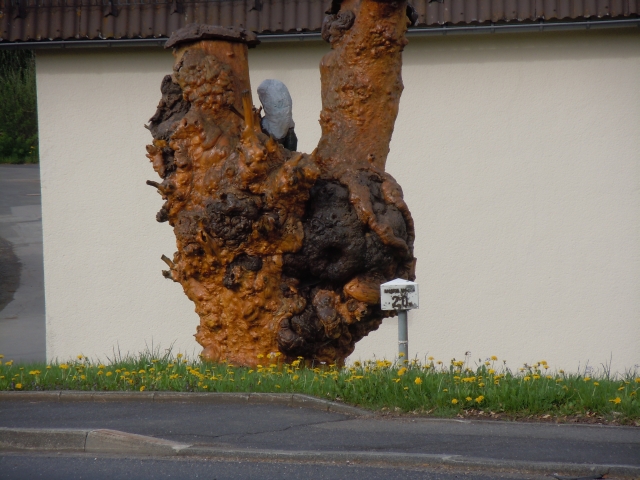 Eifelkunst in Alendorf