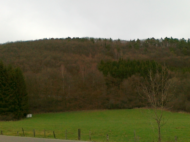 Der Kraehlinger Berg - einfach ne tolle Strecke!