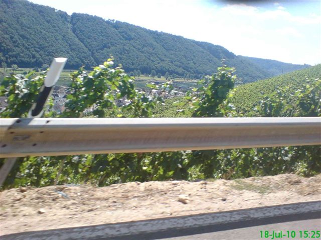 Weinberg und Mosel