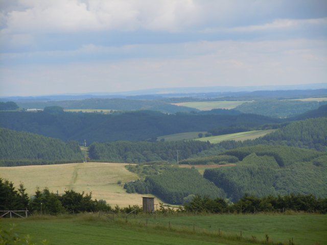 Didi - Deine Eifel :-(((