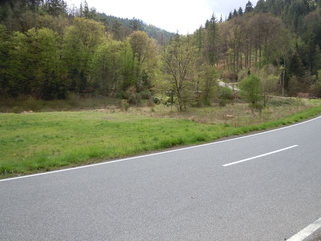 ...und inzwischen ist Gras darüber gewachsen.